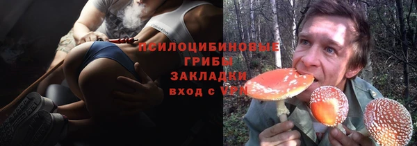 mix Белокуриха