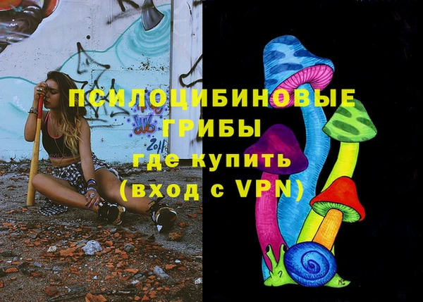 mix Белокуриха